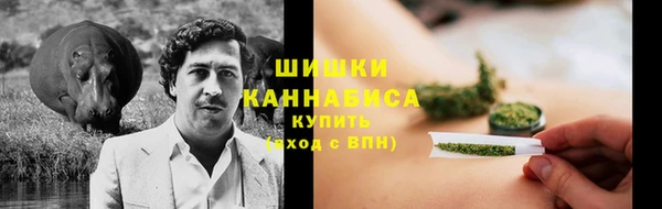экстази Бородино