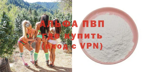 экстази Бородино